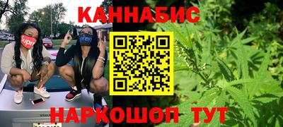 Альфа ПВП Малгобек