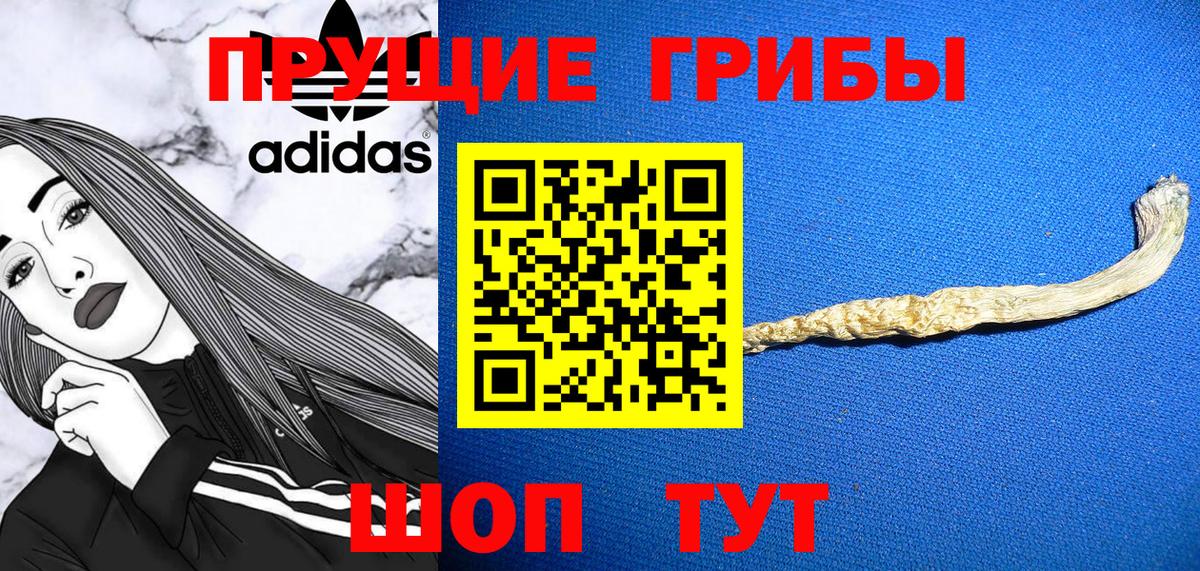 Псилоцибиновые грибы Psilocybine cubensis  Вход с VPN  Псилоцибиновые грибы GOLDEN TEACHER  Аксай 