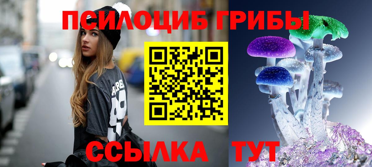 Галлюциногенные грибы Psilocybine cubensis Аксай